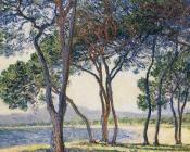 克劳德 莫奈 : Trees by the Seashore at Antibes